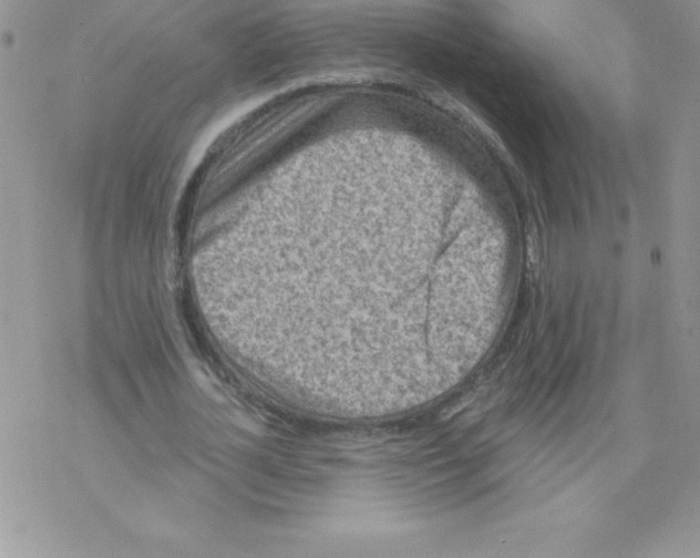 X0000077350724200611171857