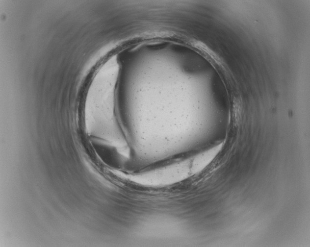 X0000077350726200611171857