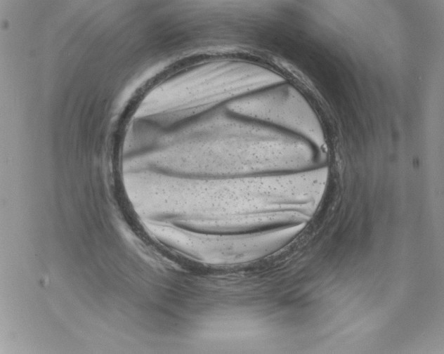 X0000077350728200611171857