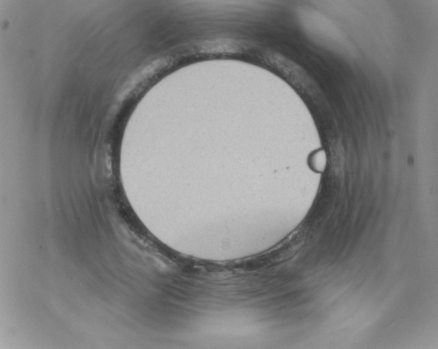 X0000077350731200611171857