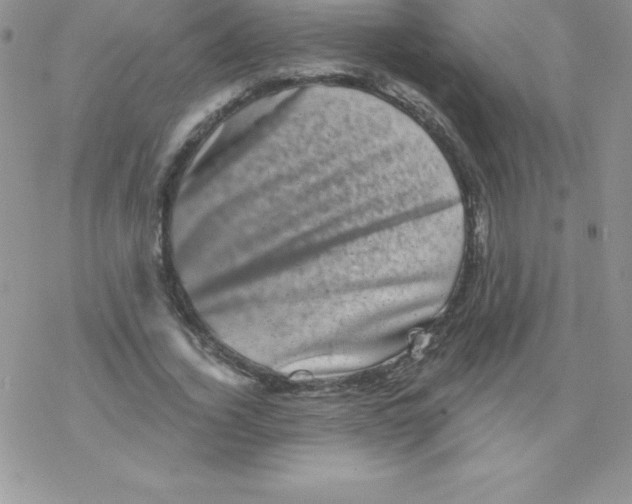 X0000077350732200611171857