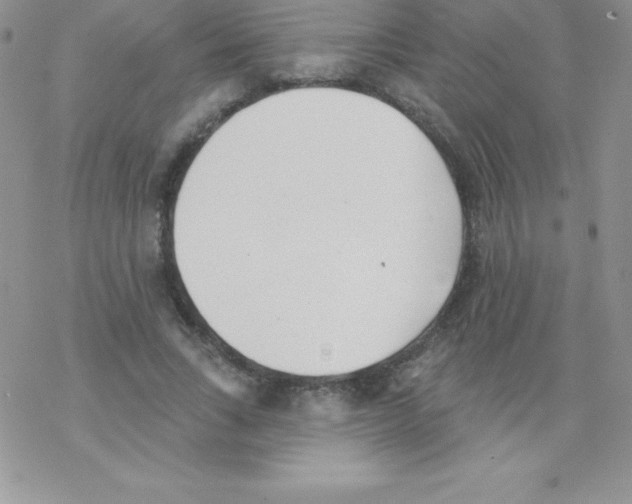 X0000077350735200611171857