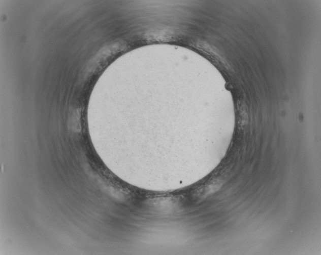 X0000077350738200611171857