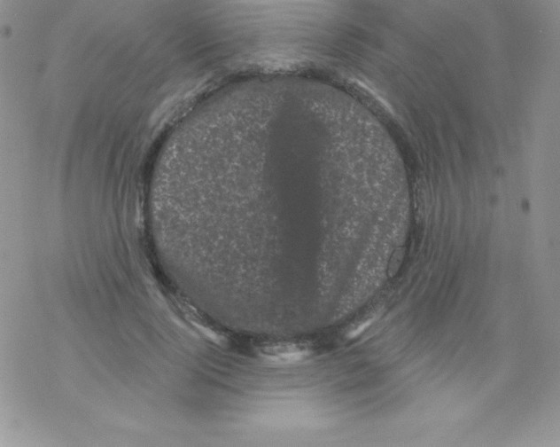 X0000077350740200611171857