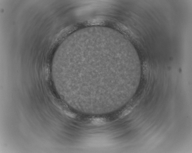 X0000077350741200611171857