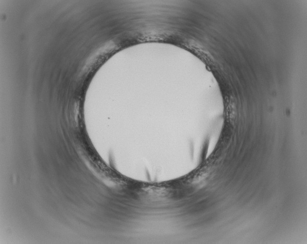 X0000077350742200611171857