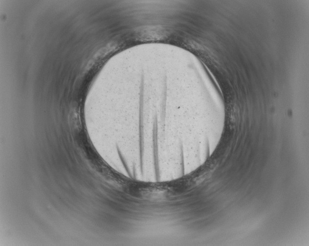 X0000077350743200611171857