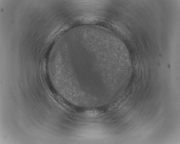 X0000077350744200611171858