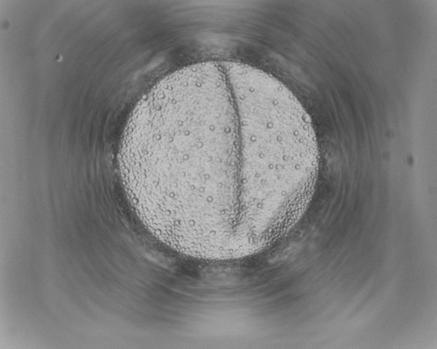 X0000077350745200611171858