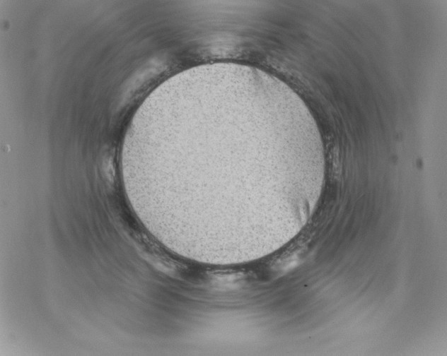 X0000077350746200611171858