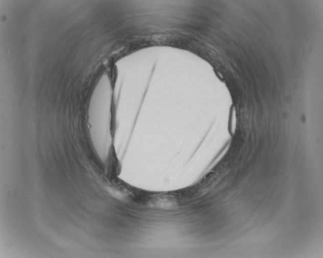 X0000077350750200611171858