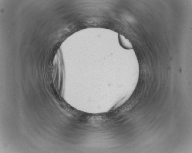 X0000077350751200611171858