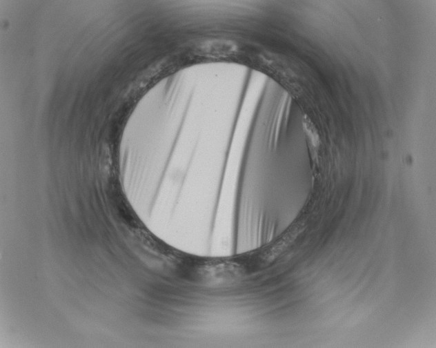 X0000077350752200611171858