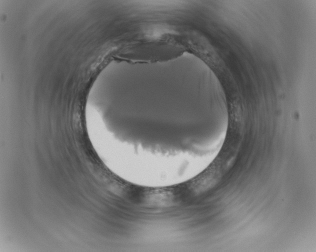 X0000077350754200611171858