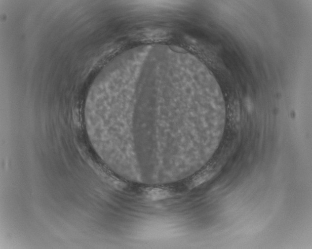 X0000077350755200611171858