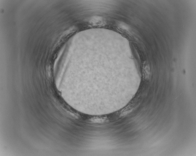 X0000077350756200611171858