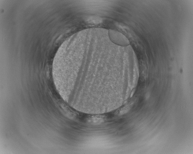 X0000077350758200611171858