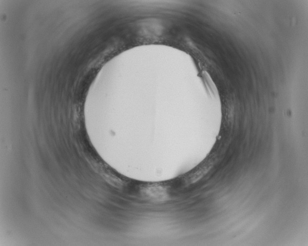 X0000077350759200611171858