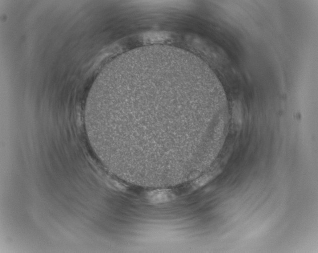 X0000077350761200611171858