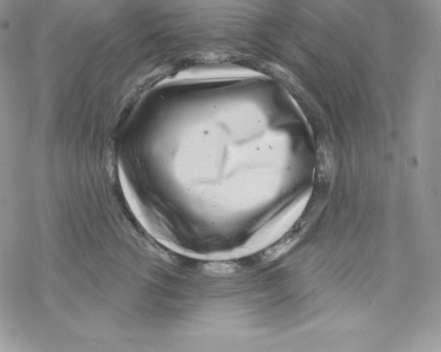 X0000077350762200611171858