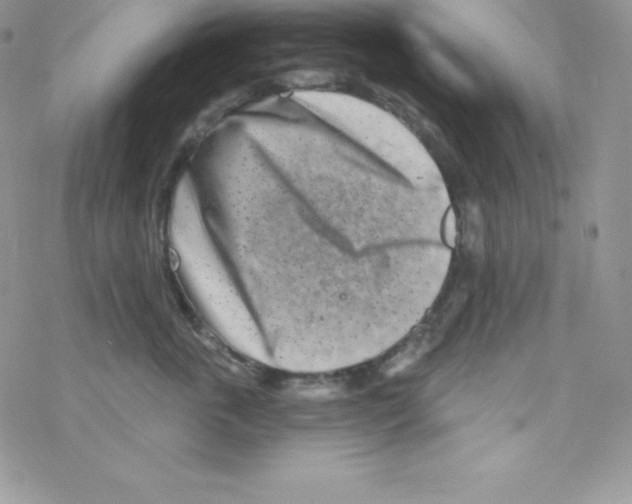 X0000077350763200611171858