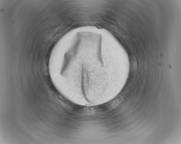 X0000077350764200611171858