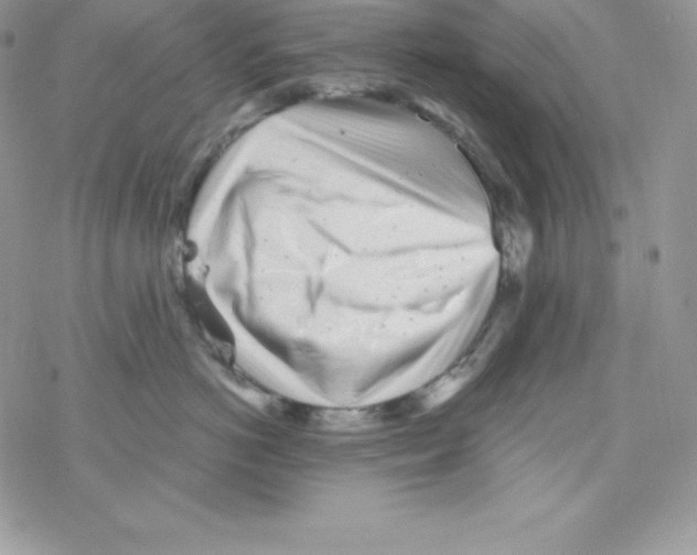 X0000077350766200611171858