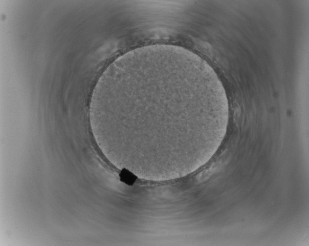 X0000077350769200611171857