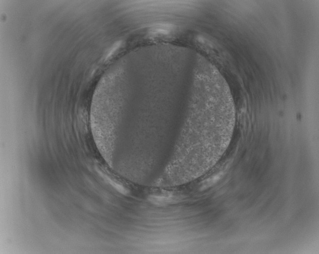 X0000077350772200611171857