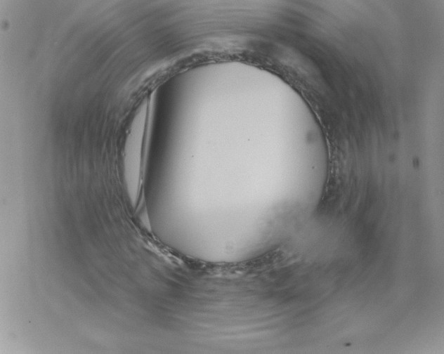 X0000077350773200611171857