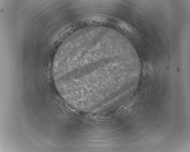 X0000077350774200611171857