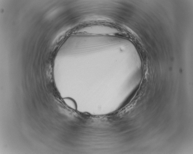 X0000077350775200611171857