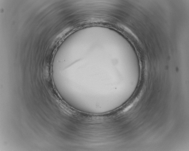 X0000077350777200611171857