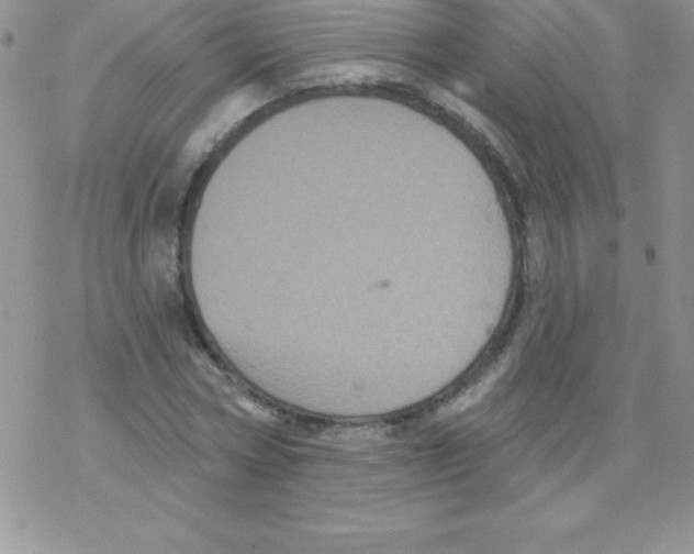 X0000077350778200611171857