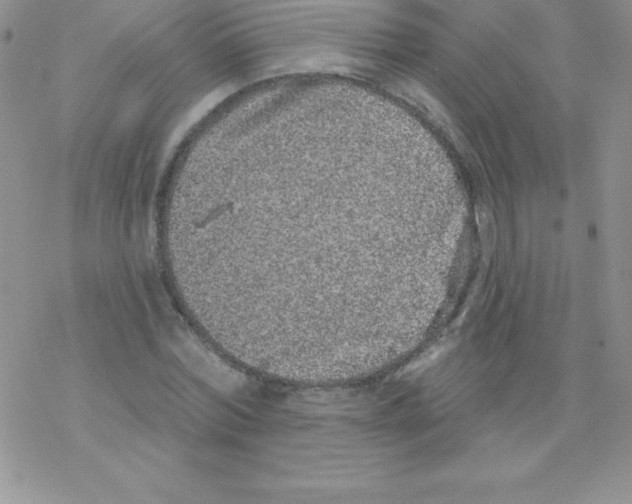 X0000077350780200611171857