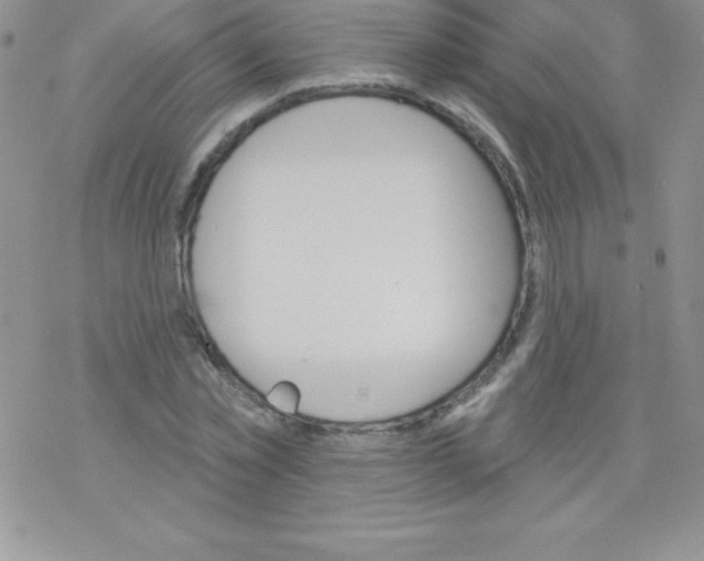 X0000077350781200611171857