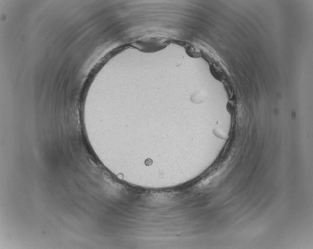 X0000077350782200611171857