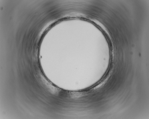 X0000077350783200611171857