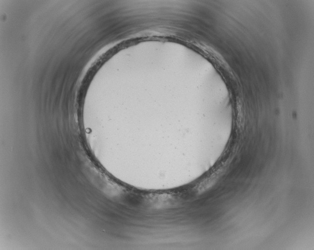 X0000077350784200611171857