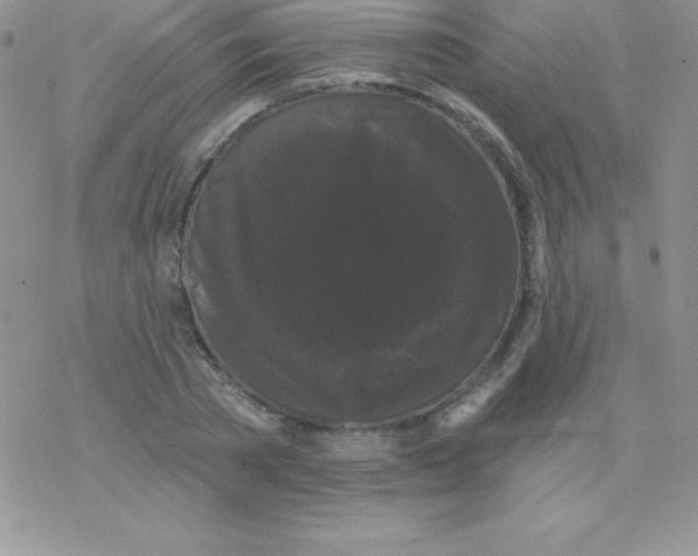 X0000077350785200611171857