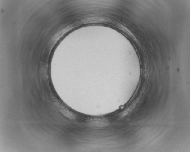 X0000077350786200611171857