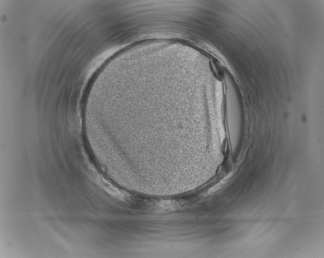 X0000077350787200611171857