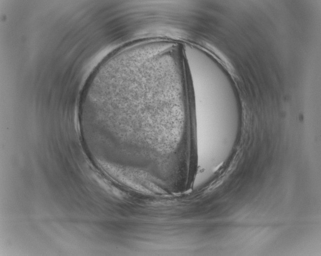 X0000077350788200611171857