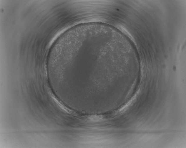 X0000077350789200611171857