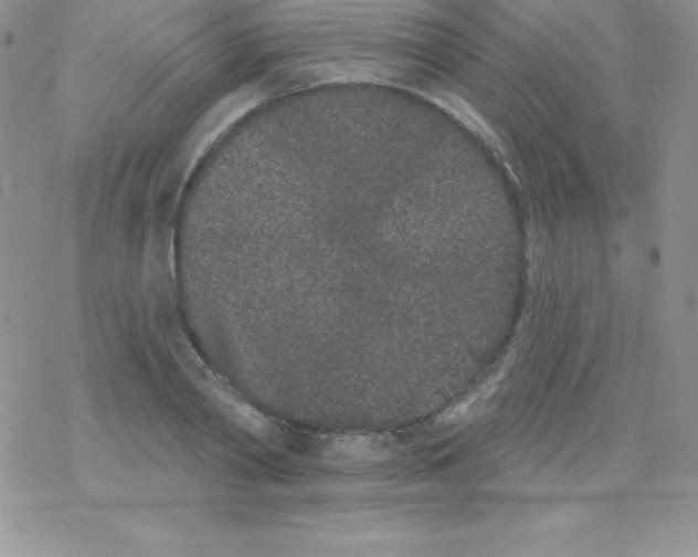 X0000077350790200611171857