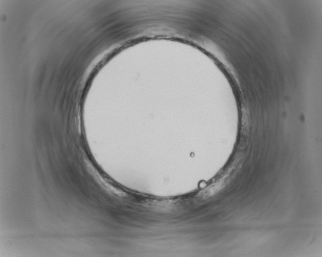 X0000077350791200611171857