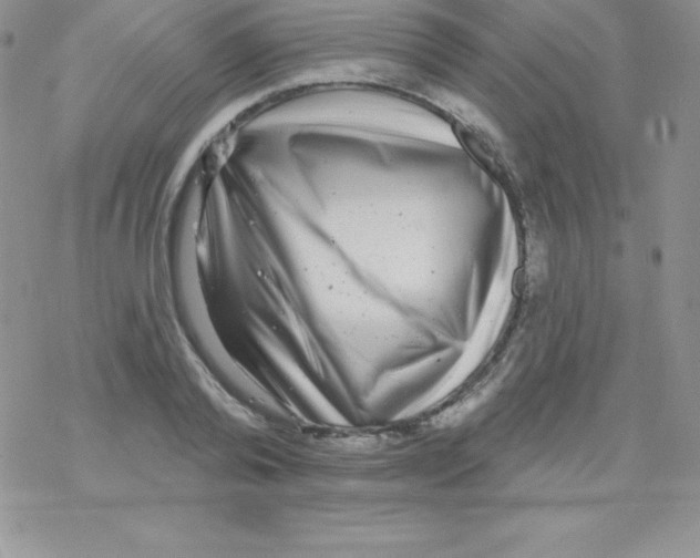 X0000077350792200611171857