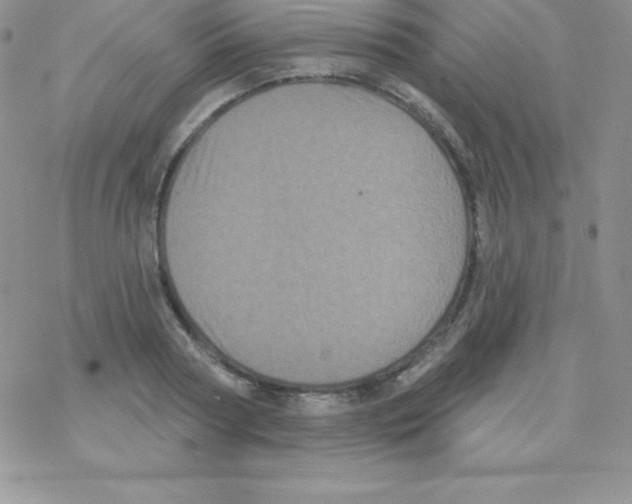 X0000077350794200611171857