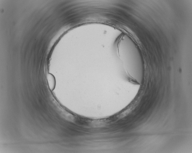 X0000077350796200611171857