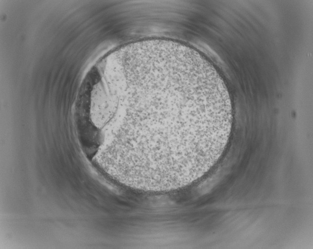 X0000077350798200611171857